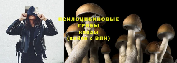 прущая мука Абдулино