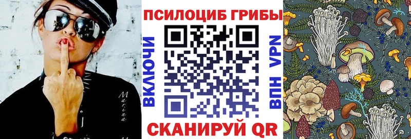 Псилоцибиновые грибы прущие грибы mega ссылки Новокузнецк